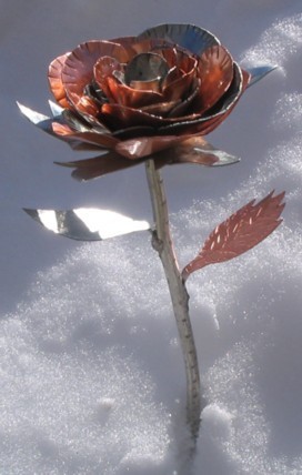 Rose im Schnee