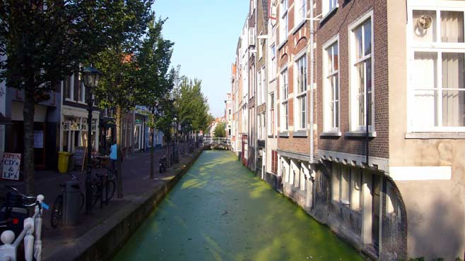 Delft