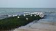 Bild 139: Nordsee