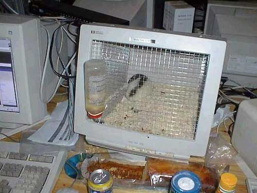 kaefig pc
