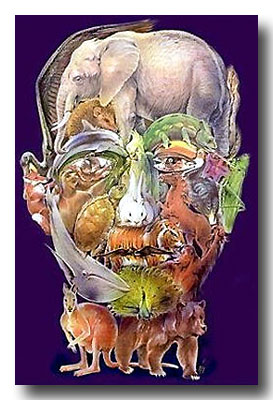 Gesicht