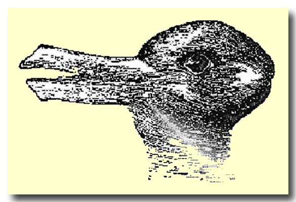 Hase Ente?
