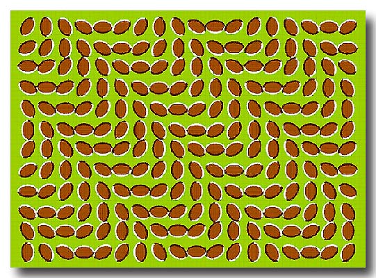 Bewegung?