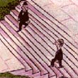 Bild 19: Verflixte Treppe
