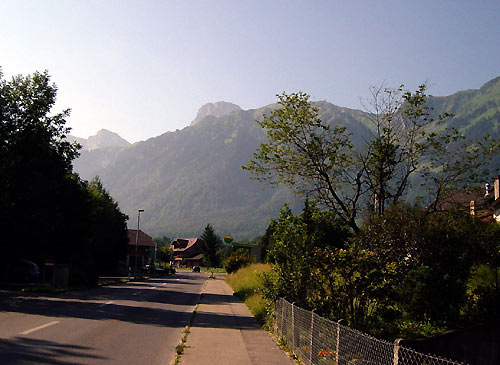 Anfangs Stockental