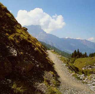 Wohin führt der Weg?